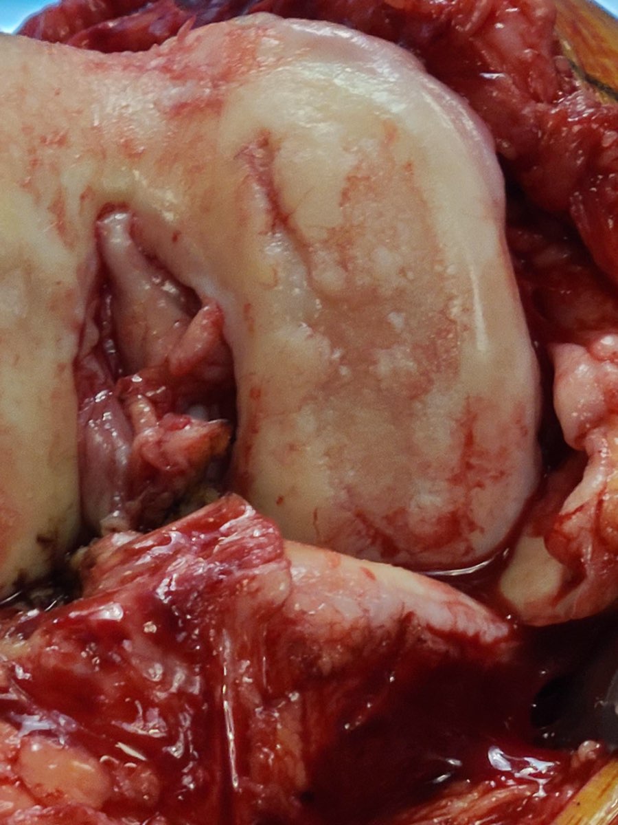 FAE59A42-FE87-452E-8C7E-D9B665E35AE1